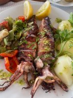 WhatsApp Image 2026-03-31 at 21.07.59.jpeg